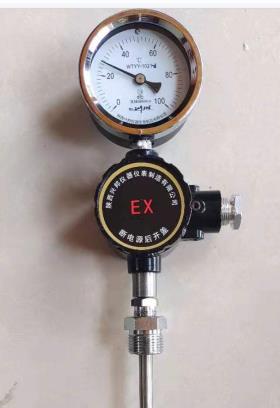 隔爆遠(yuǎn)傳溫度計，WTYY-1021-d，1.5級，0-500℃